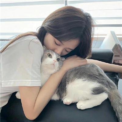 翻叮一族粤语